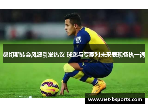 桑切斯转会风波引发热议 球迷与专家对未来表现各执一词 桑切斯转会风波引发热议 球迷与专家对未来表现各执一词