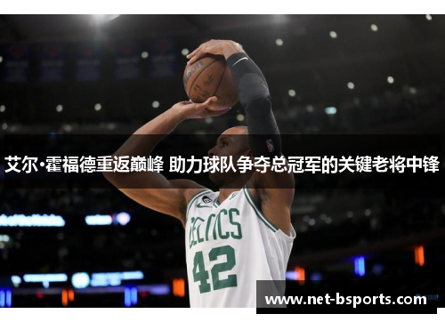 艾尔·霍福德重返巅峰 助力球队争夺总冠军的关键老将中锋 艾尔·霍福德重返巅峰 助力球队争夺总冠军的关键老将中锋