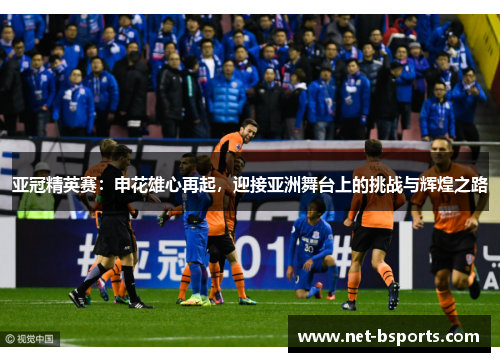 亚冠精英赛：申花雄心再起，迎接亚洲舞台上的挑战与辉煌之路
