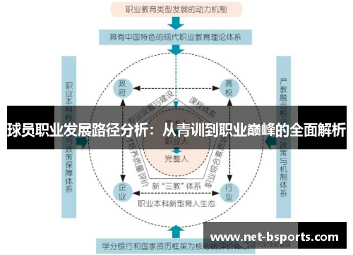 球员职业发展路径分析:从青训到职业巅峰的全面解析 球员职业发展路径分析:从青训到职业巅峰的全面解析