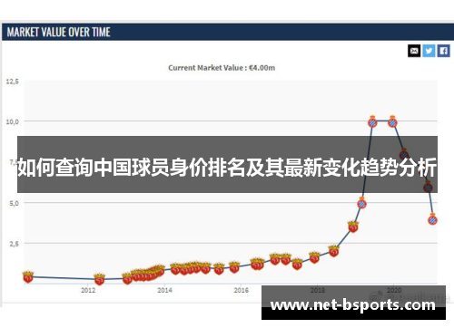 如何查询中国球员身价排名及其最新变化趋势分析