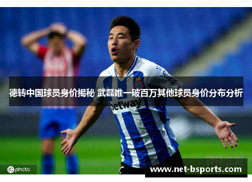 德转中国球员身价揭秘 武磊唯一破百万其他球员身价分布分析 德转中国球员身价揭秘 武磊唯一破百万其他球员身价分布分析