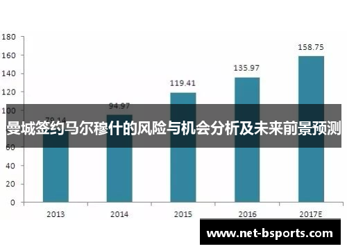 曼城签约马尔穆什的风险与机会分析及未来前景预测