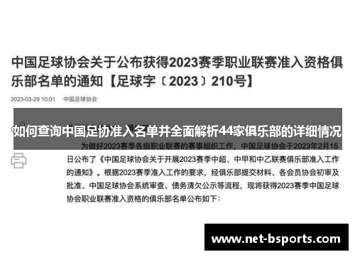 如何查询中国足协准入名单并全面解析44家俱乐部的详细情况