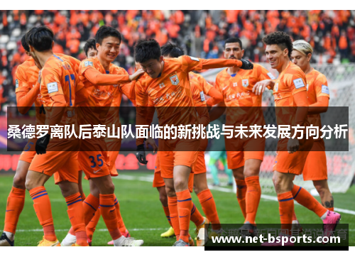 桑德罗离队后泰山队面临的新挑战与未来发展方向分析