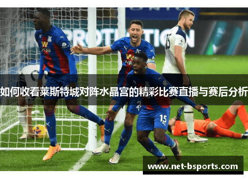 如何收看莱斯特城对阵水晶宫的精彩比赛直播与赛后分析 如何收看莱斯特城对阵水晶宫的精彩比赛直播与赛后分析