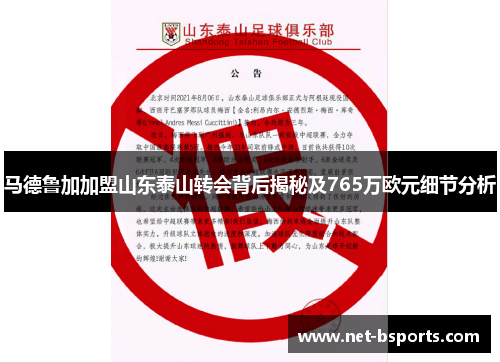 马德鲁加加盟山东泰山转会背后揭秘及765万欧元细节分析
