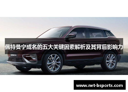 佩特曼宁成名的五大关键因素解析及其背后影响力 佩特曼宁成名的五大关键因素解析及其背后影响力