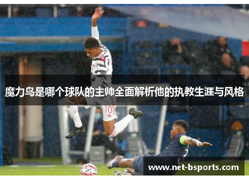 魔力鸟是哪个球队的主帅全面解析他的执教生涯与风格 魔力鸟是哪个球队的主帅全面解析他的执教生涯与风格
