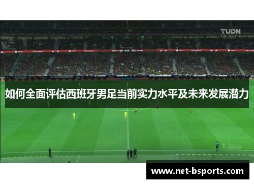 如何全面评估西班牙男足当前实力水平及未来发展潜力